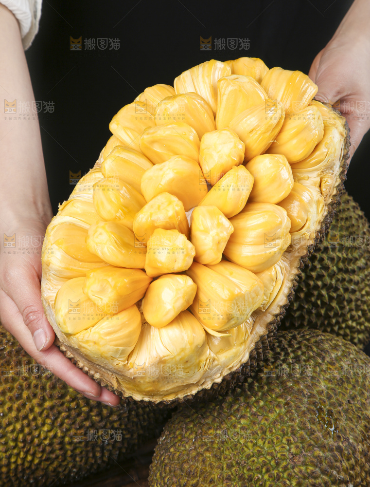 手里捧着海南菠萝蜜