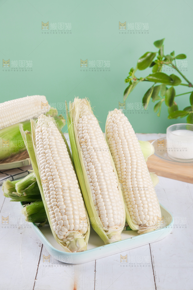 一盘东北白糯玉米