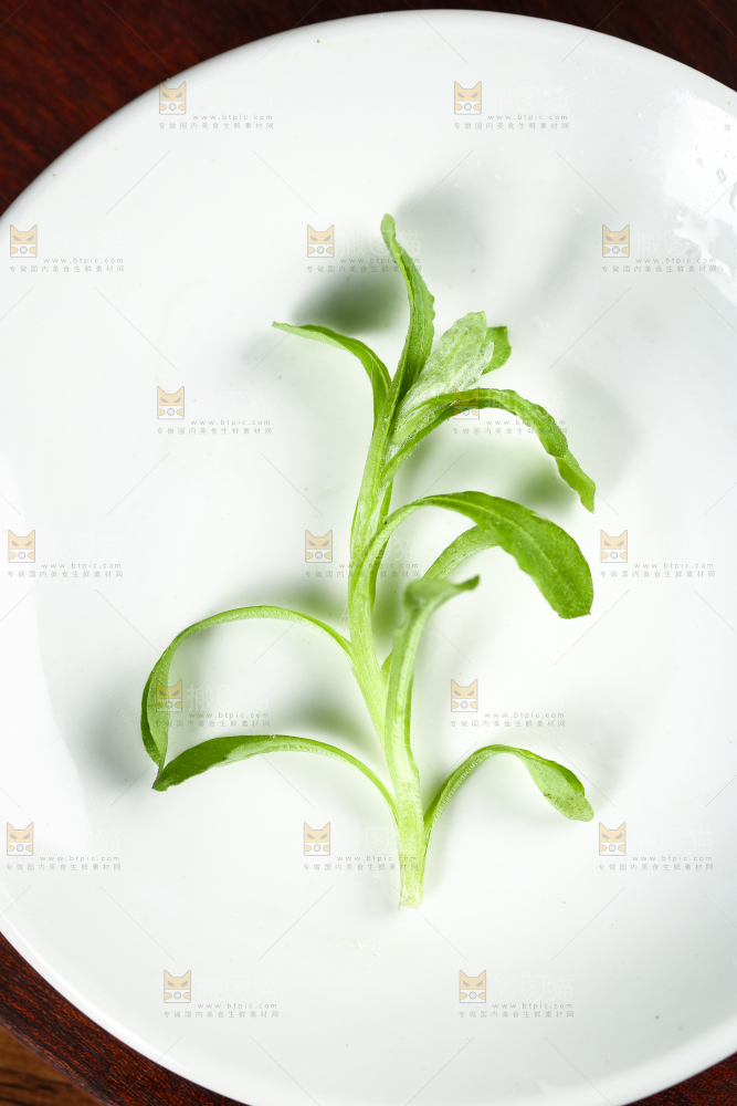 盘子里的清明草