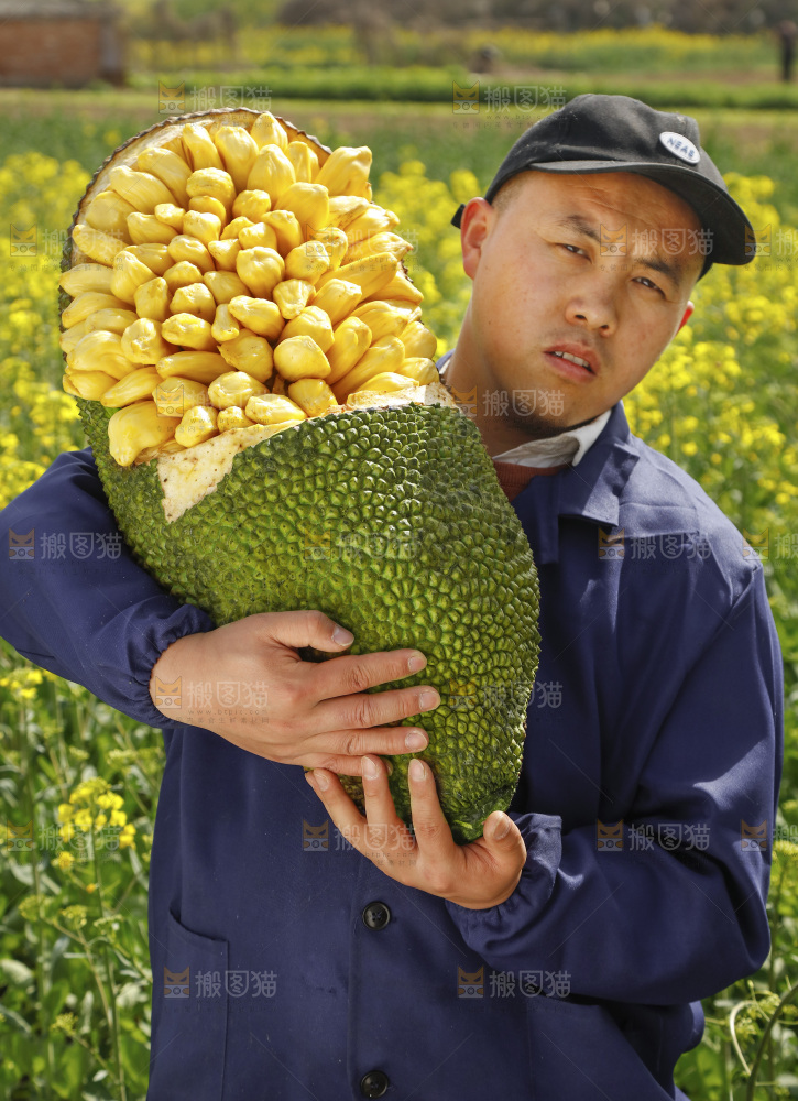 手里抱着黄肉菠萝蜜