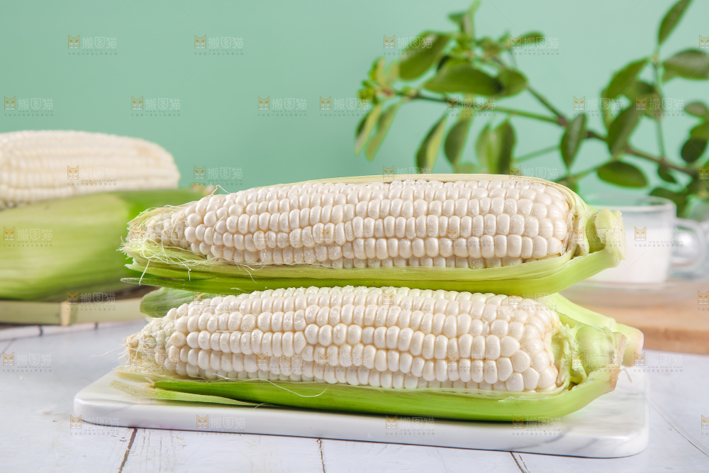 一堆白糯玉米棒