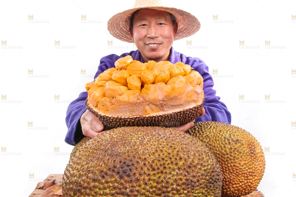 手里拿着红肉菠萝蜜