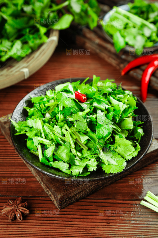 一盘小叶香菜