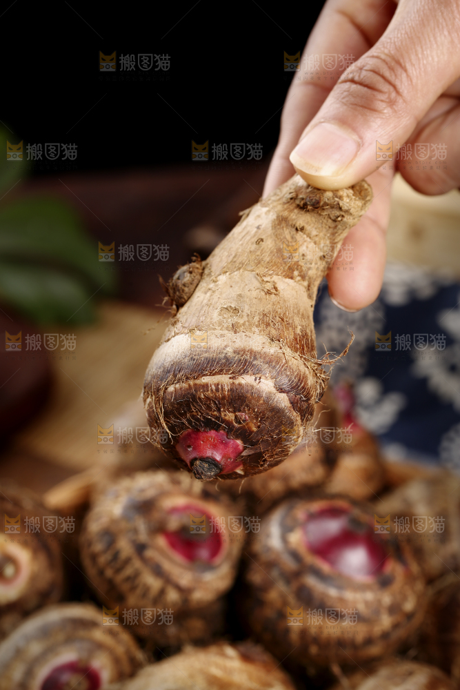 手里拿着红嘴芋头