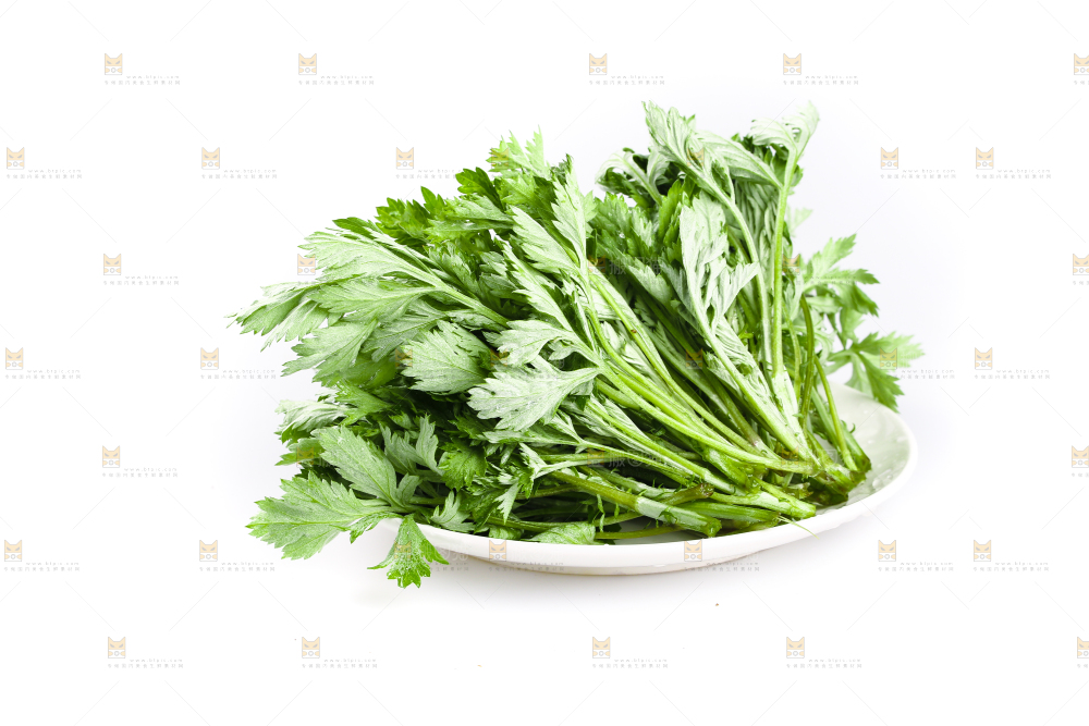 一盘嫩艾草摆放在白底上