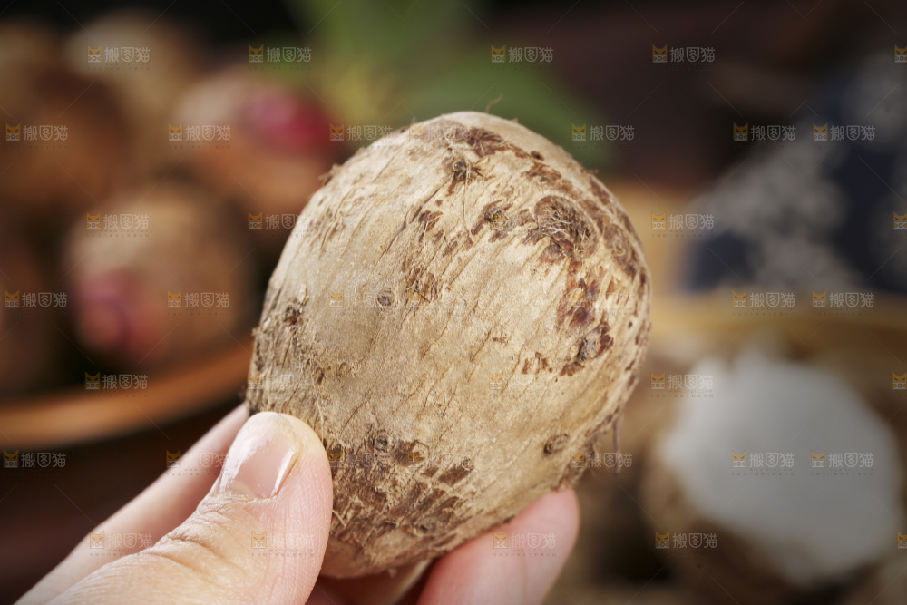 手里拿着小芋头
