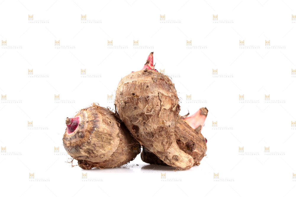 白底上的广西红芽芋