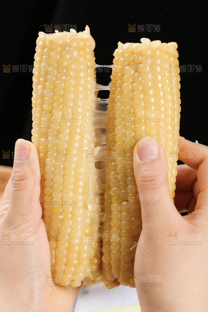 白糯玉米