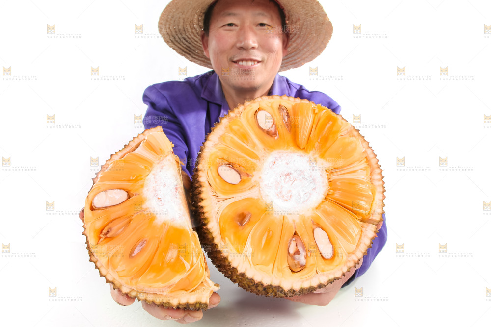 农民手里捧着菠萝蜜