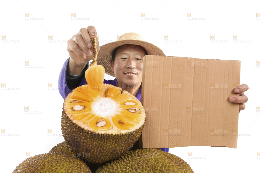 手里拿着菠萝蜜果肉