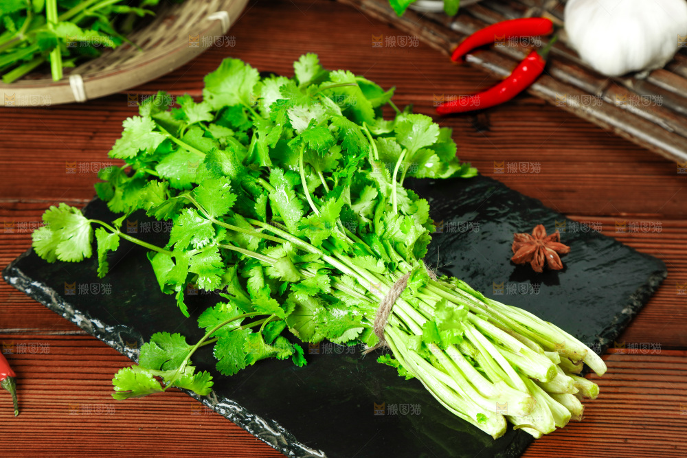 一堆四季香菜