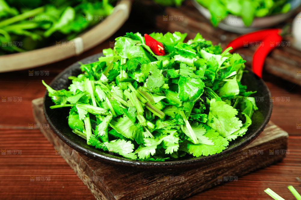 一盘小叶香菜