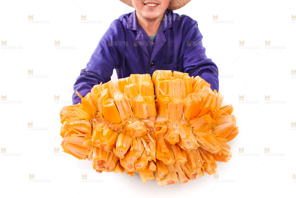 手里捧着红肉菠萝蜜