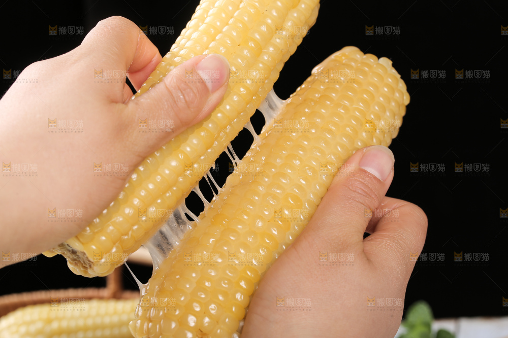 手里拿着白糯玉米