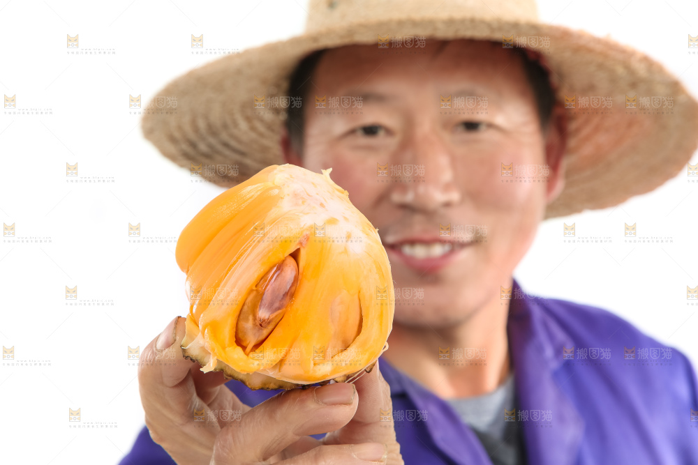 手里拿着红肉菠萝蜜