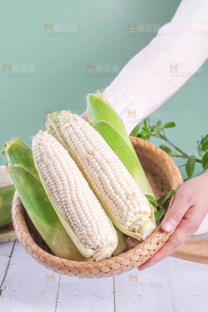 一篮新鲜白糯玉米