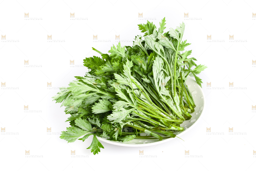 一盘嫩艾草摆放在白底上