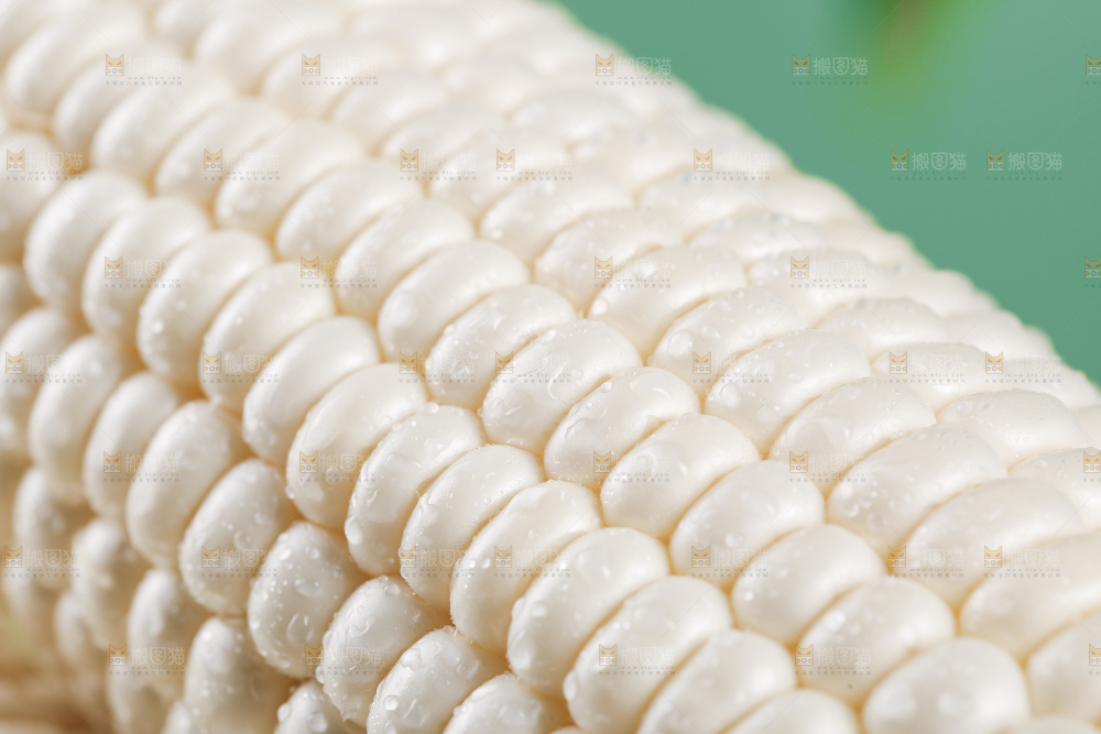 新鲜的白糯玉米棒