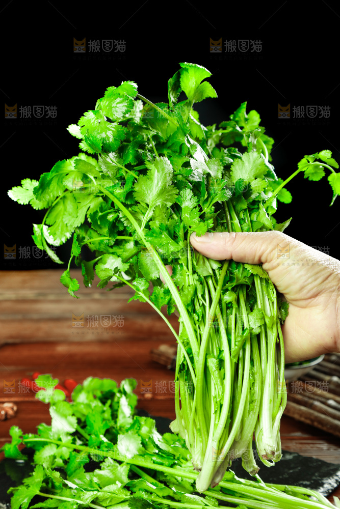 手里拿着小香菜
