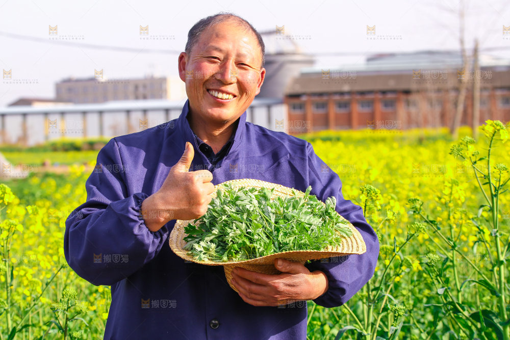 草帽里的艾叶