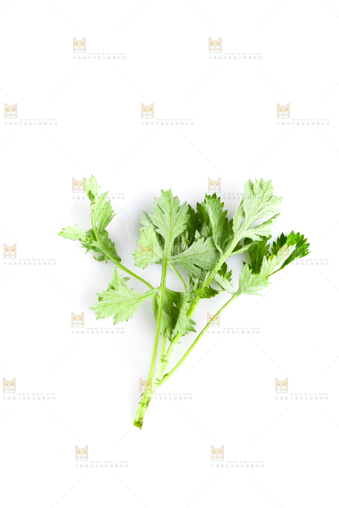 白底上放着艾草叶