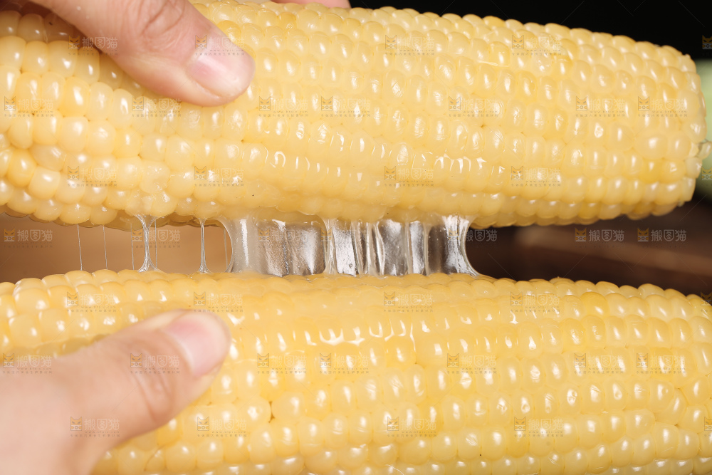 手里拿着甜糯玉米