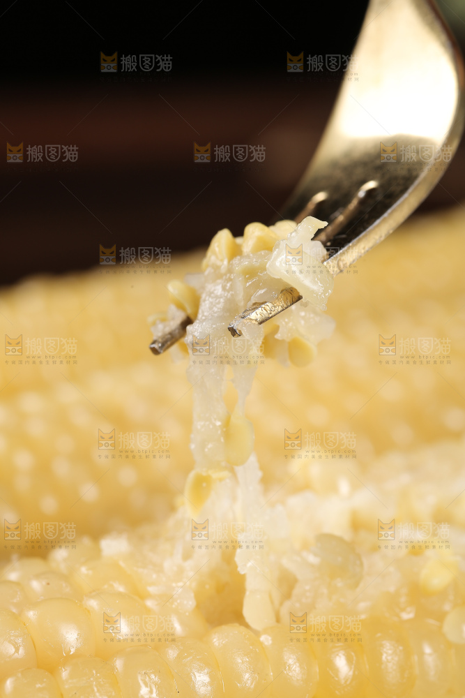 新鲜的甜糯玉米