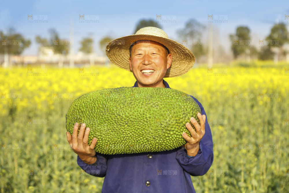 手里抱着海南菠萝蜜