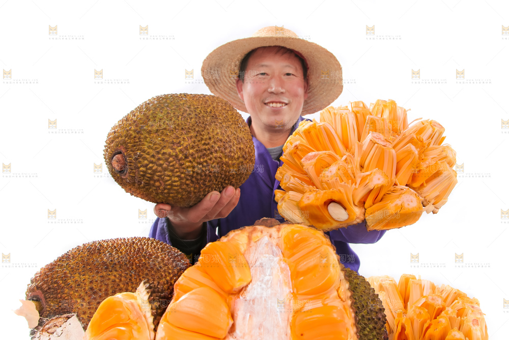 手里拿着进口红肉菠萝蜜