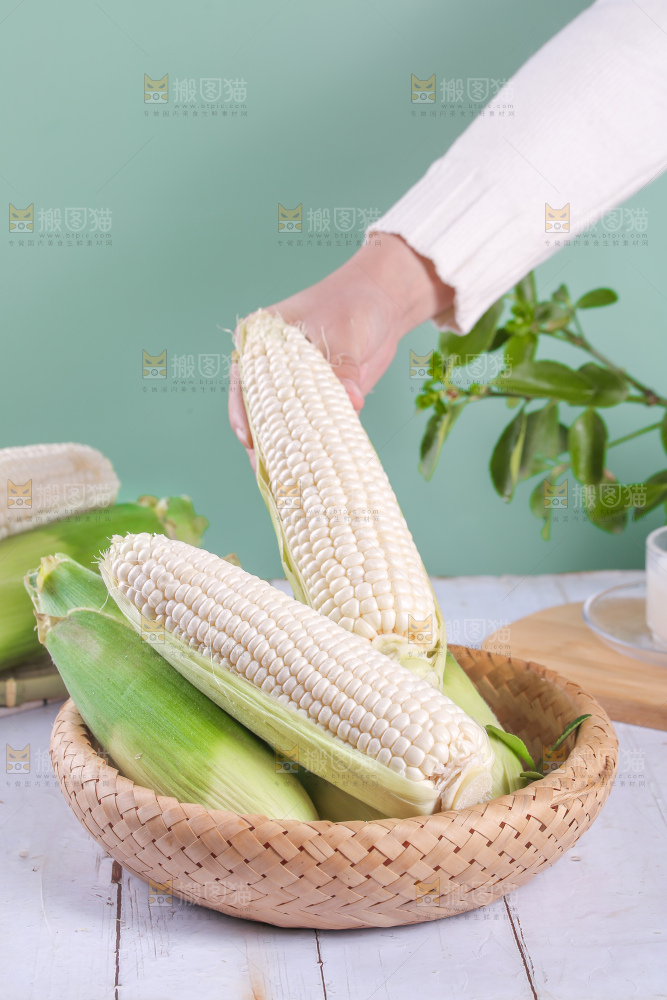 一篮新鲜白糯玉米