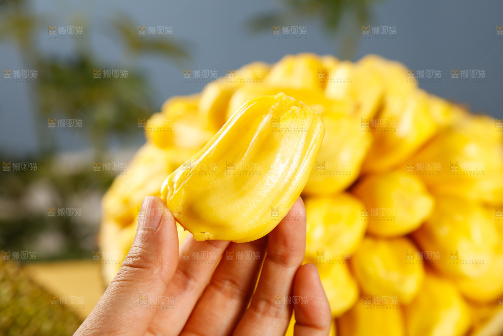 手里拿着菠萝蜜果肉
