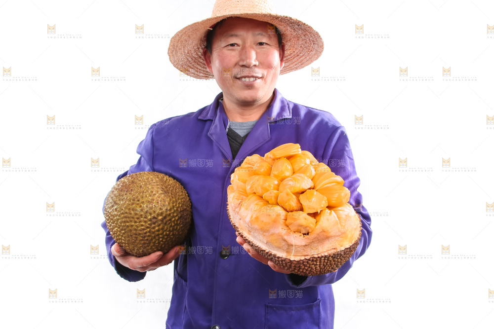 手里拿着红肉菠萝蜜