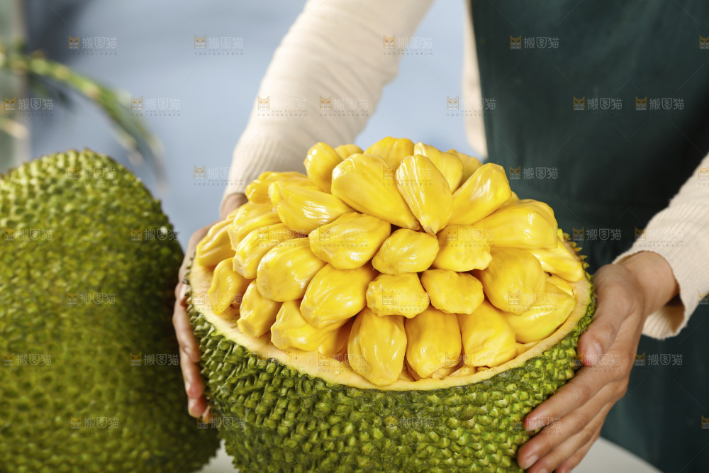 手里抱着海南黄肉菠萝蜜
