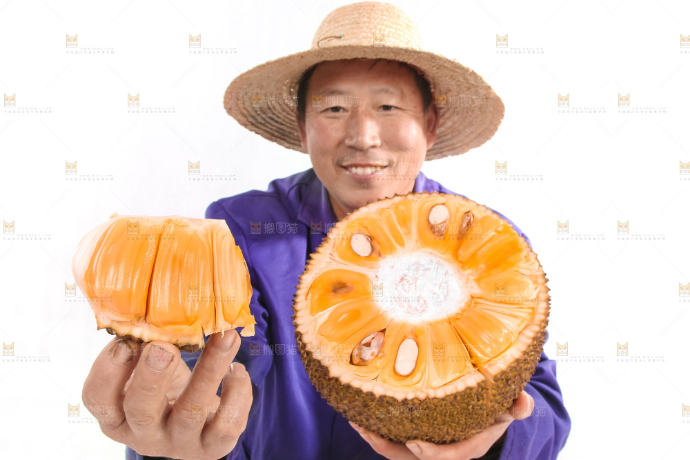 手里拿着红肉菠萝蜜