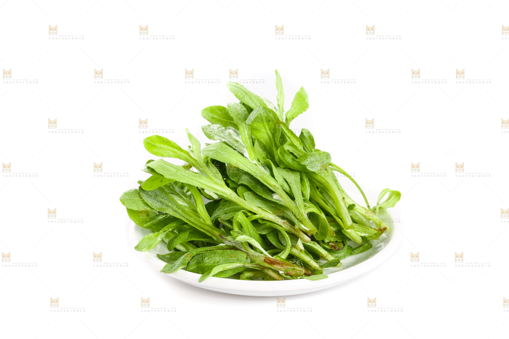 一盘鼠曲草摆放在白底上