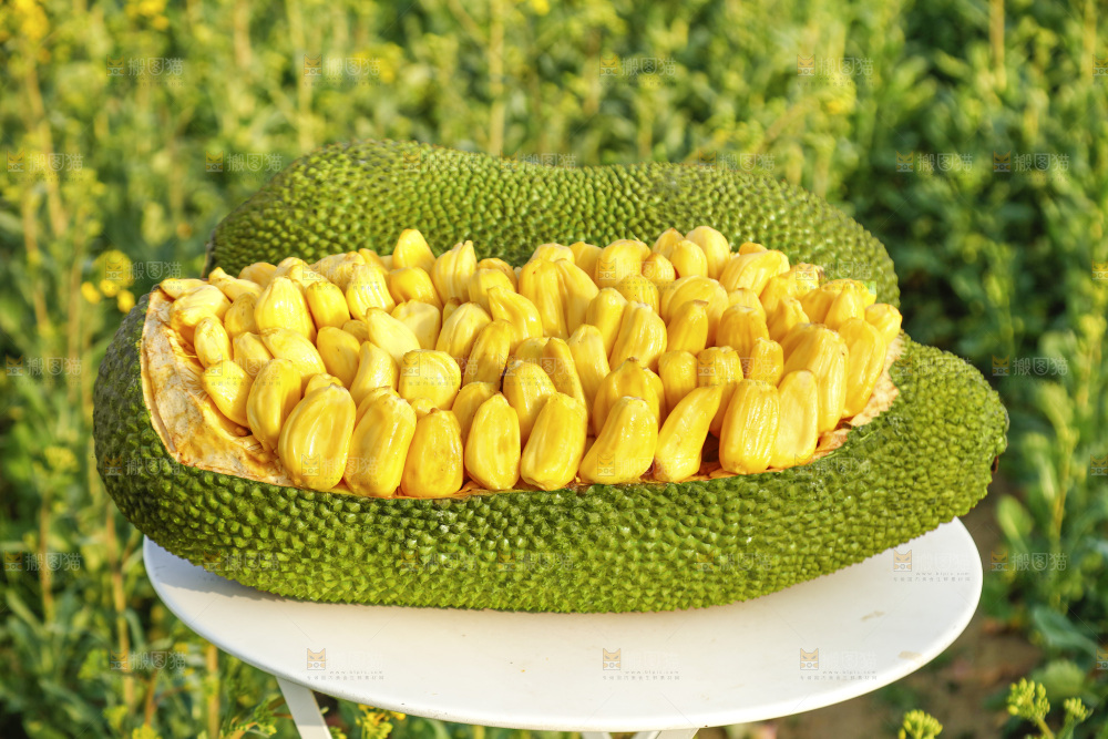 桌子上放着黄肉菠萝蜜