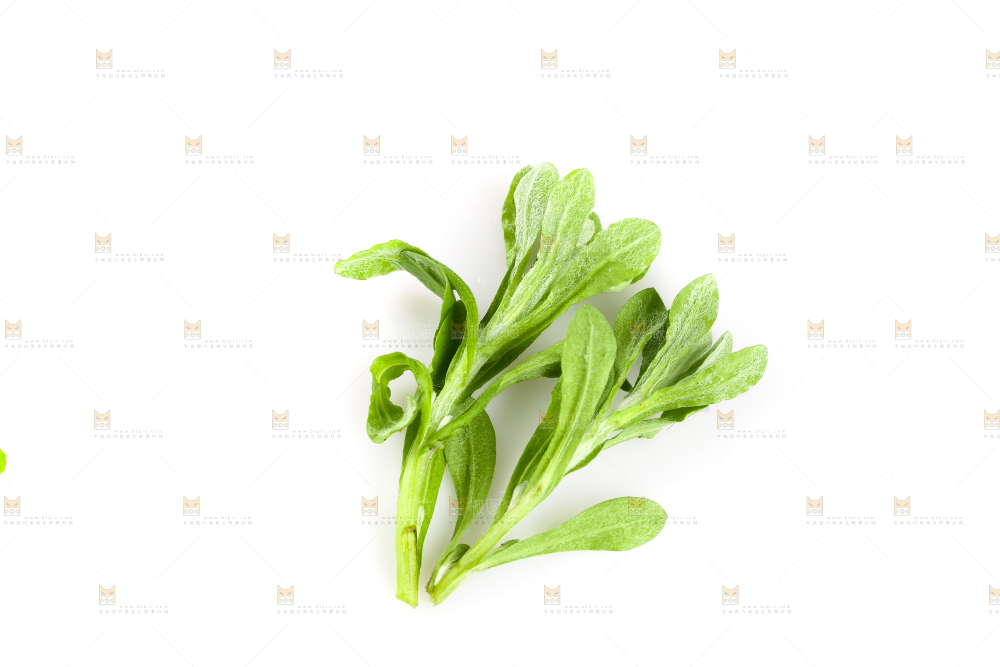 白底上放着清明草