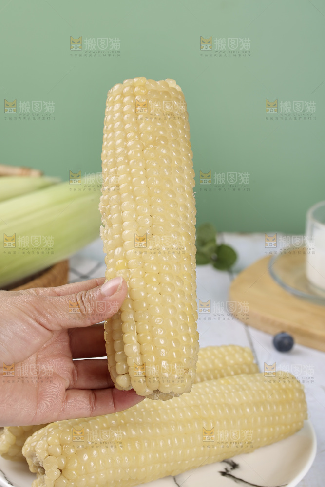 新鲜的甜糯玉米