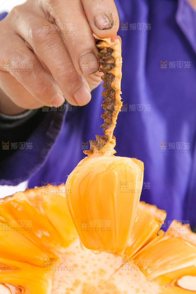 红肉菠萝蜜果肉