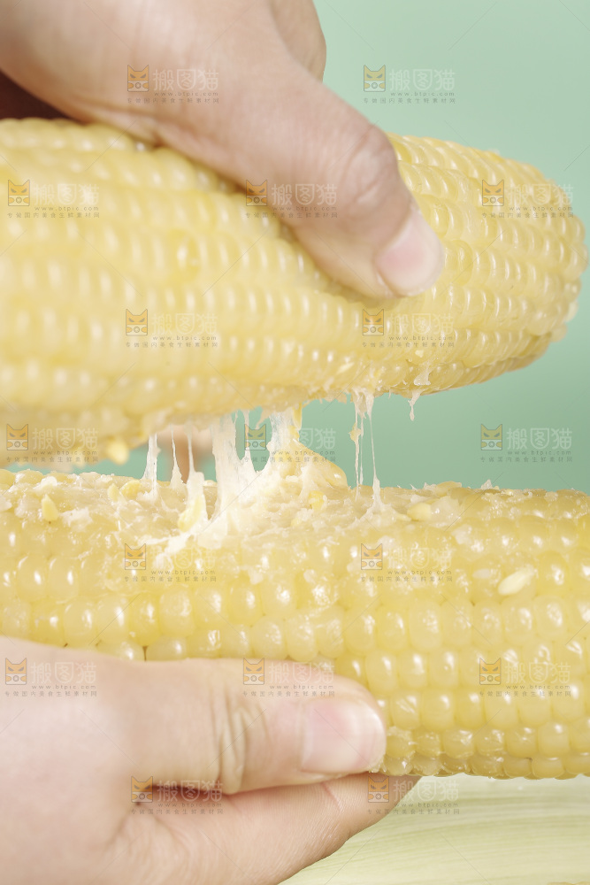 手里拿着东北白糯玉米