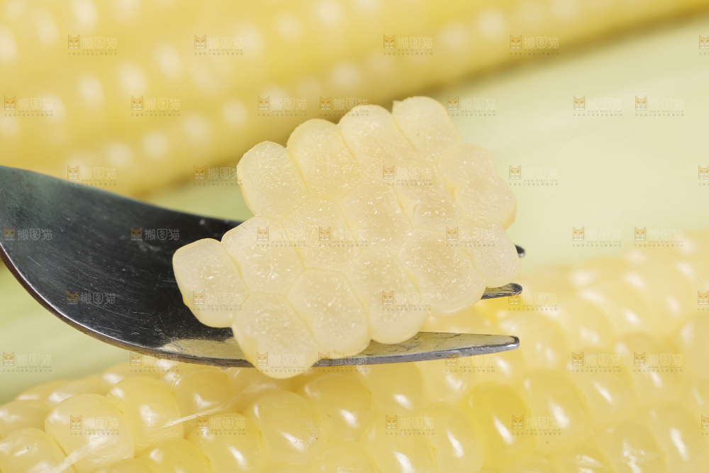 新鲜白糯玉米