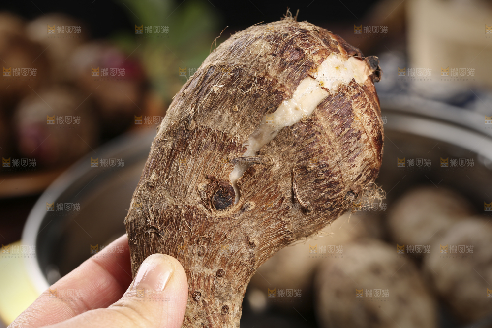 手里拿着蒸熟的小芋头