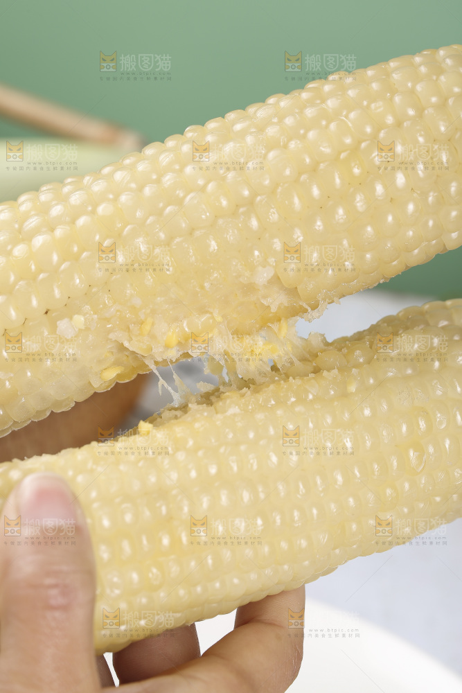 手里拿着白糯玉米棒