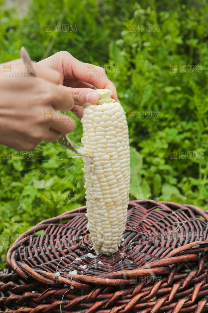 手里拿着白糯玉米棒