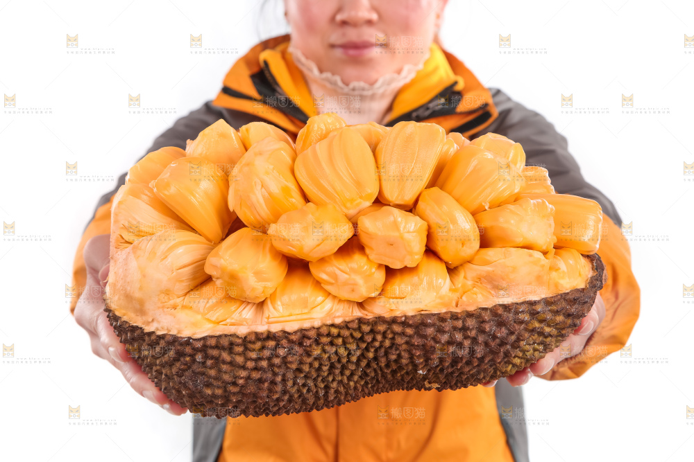 手里捧着红肉菠萝蜜