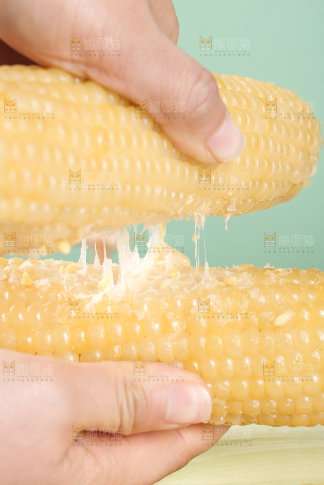 手里拿着白糯玉米
