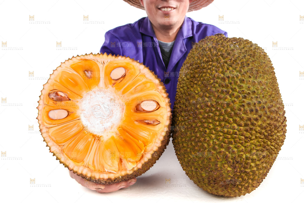 白底上的菠萝蜜对比