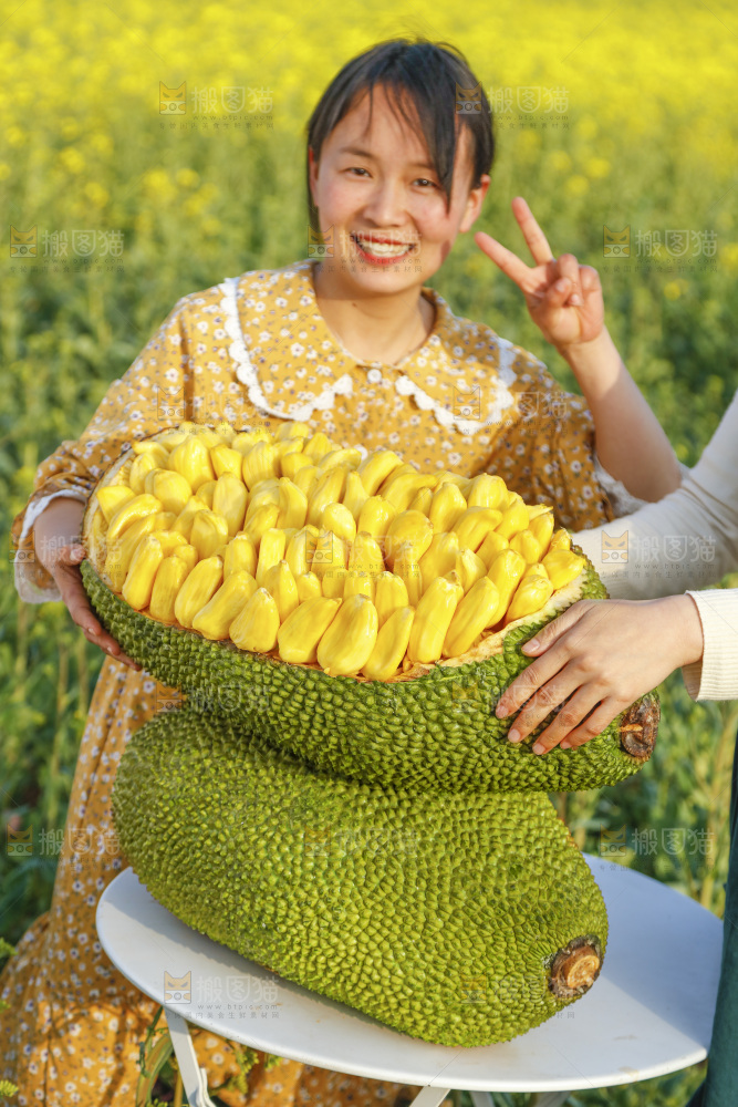 桌子上放着黄肉菠萝蜜