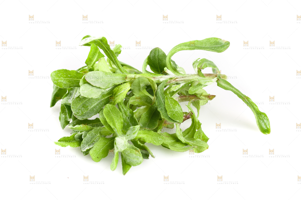 白底上放着清明草