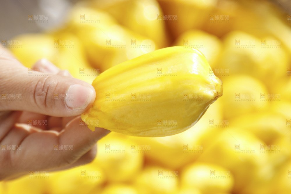 手里拿着菠萝蜜果肉